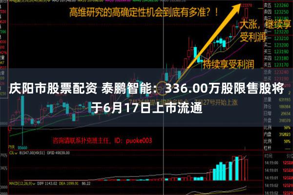 庆阳市股票配资 泰鹏智能：336.00万股限售股将于6月17日上市流通