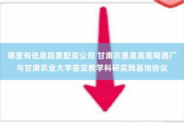 哪里有低息股票配资公司 甘肃农垦莫高葡萄酒厂与甘肃农业大学签定教学科研实践基地协议