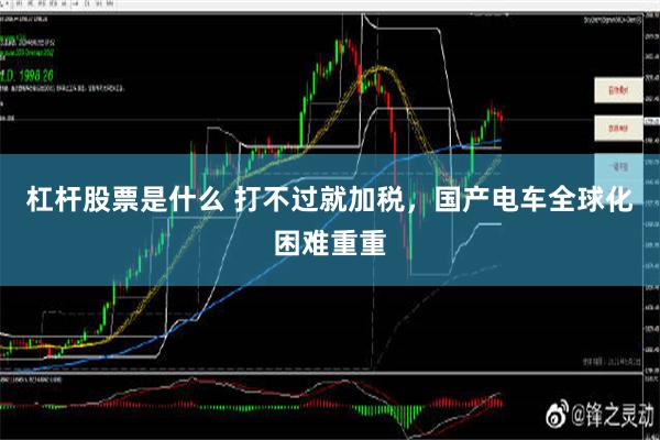 杠杆股票是什么 打不过就加税，国产电车全球化困难重重