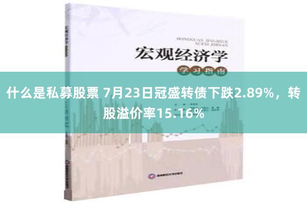 什么是私募股票 7月23日冠盛转债下跌2.89%，转股溢价率15.16%