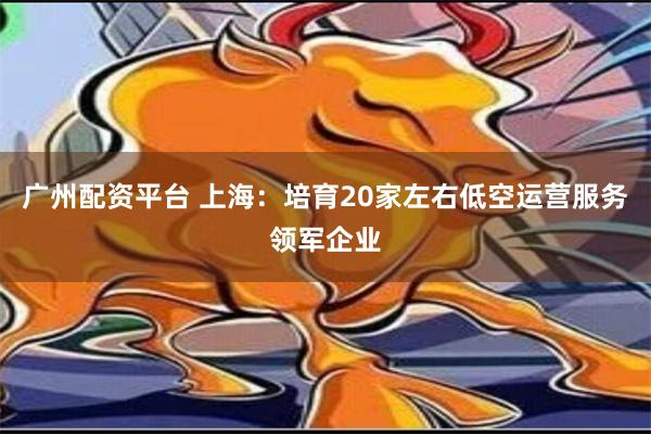 广州配资平台 上海：培育20家左右低空运营服务领军企业