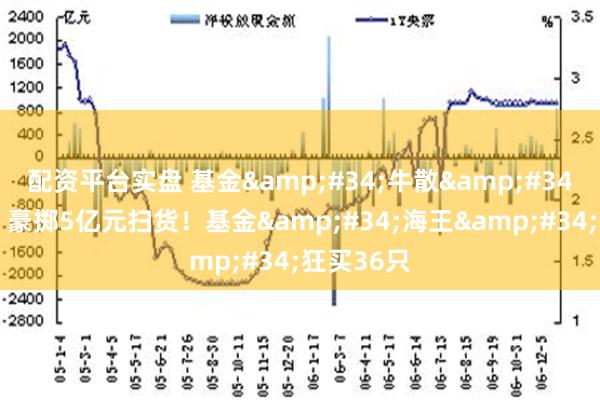 配资平台实盘 基金&#34;牛散&#34;大曝光，豪掷5亿元扫货！基金&#34;海王&#34;狂买36只