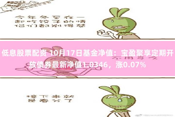 低息股票配资 10月17日基金净值：宝盈聚享定期开放债券最新净值1.0346，涨0.07%