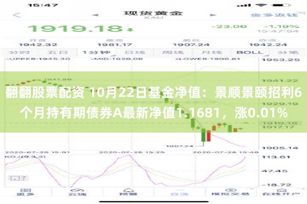 翻翻股票配资 10月22日基金净值：景顺景颐招利6个月持有期债券A最新净值1.1681，涨0.01%