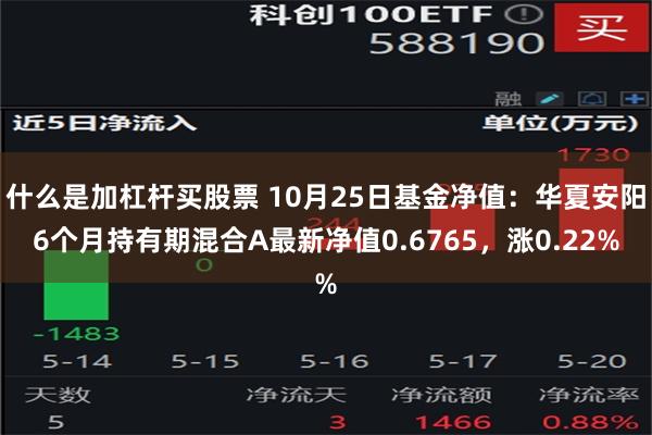 什么是加杠杆买股票 10月25日基金净值：华夏安阳6个月持有期混合A最新净值0.6765，涨0.22%