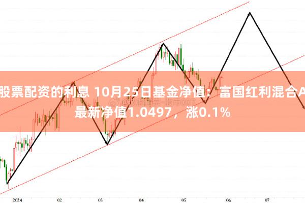 股票配资的利息 10月25日基金净值：富国红利混合A最新净值1.0497，涨0.1%