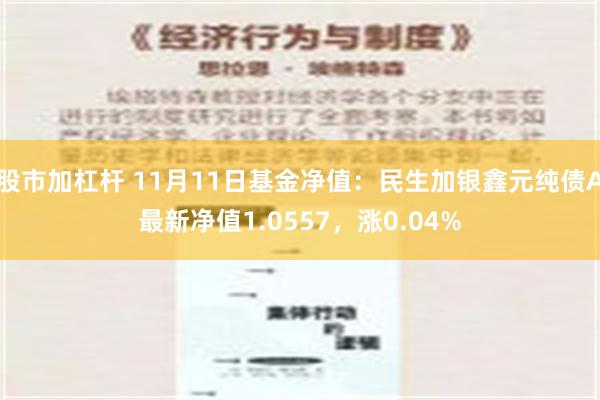 股市加杠杆 11月11日基金净值：民生加银鑫元纯债A最新净值1.0557，涨0.04%